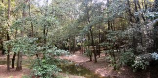 Avviso di manifestazione di interesse per la custodia di parchi gioco e aree verdi