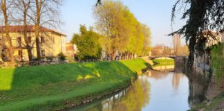 Verde pubblico, primo intervento di sfalcio stagionale