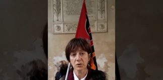 Coronavirus, protesta dipendenti comunali a palazzo Trissino. Turetta (Cub): “blocco totale, Rucco balbetta”