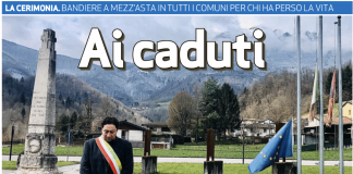 Irma Lovato Serena, Autore presso Vipiù