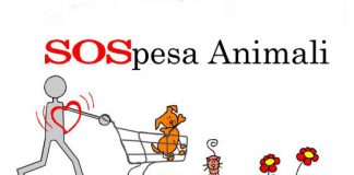 SOSpesa animali, al via una raccolta di cibo e prodotti per gli animali
