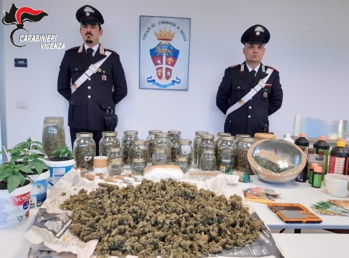 Carabinieri sequestrano marijuana (foto d'archivio) Carabinieri sequestrano marijuana (foto d'archivio)