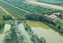 Water We Want, la rubrica di Letizia: inaugurato a Meolo il nuovo percorso digitale del Water Museum of Venice Water We Want, Water Museum of Venice: Meolo