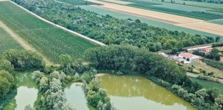 Water We Want, la rubrica di Letizia: inaugurato a Meolo il nuovo percorso digitale del Water Museum of Venice Water We Want, Water Museum of Venice: Meolo