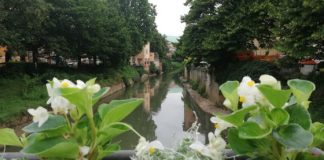 Fioriere, arrivati i nuovi allestimenti sui ponti e le balaustre della città