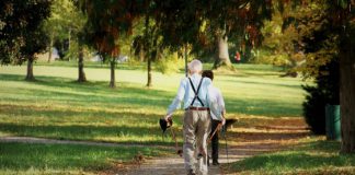 Vicenza sicura, nuovi orari del servizio telefonico per le difficoltà del periodo estivo