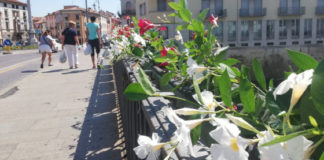 Fioriere a ponte degli Angeli, nuova donazione spontanea dell’associazione Idea Vicenza