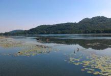 Lago di Fimon a Vicenza, Giacomin (Lega – LV): “necessità e urgenza di avviare uno studio organico per prevederne una adeguata gestione” lago di Fimon