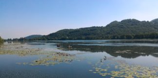 Lago di Fimon a Vicenza, Giacomin (Lega – LV): “necessità e urgenza di avviare uno studio organico per prevederne una adeguata gestione” lago di Fimon