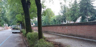 Viale Rumor, riqualificata l’aiuola lungo il fiume