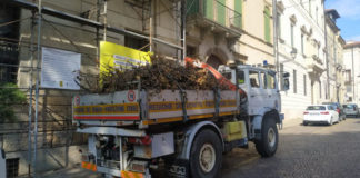 Santa Corona, rimosso dal giardino della chiesa un grosso ramo caduto a terra per maltempo