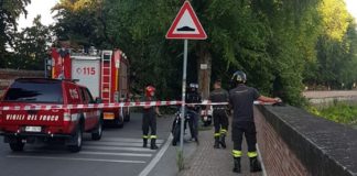 Parco Querini, sabato pomeriggio rimozione dell’albero caduto su viale Rumor