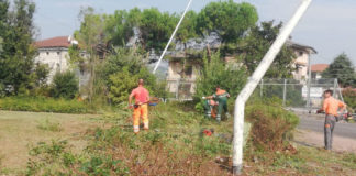 Verde pubblico e decoro urbano, da oggi a martedì all’opera una task force