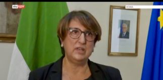 Voto, ecco le schede per referendum taglio parlamentari e regionali in Veneto: Caterina Amato spiega le misure anti Covid