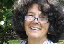 Vincolo Soprintendenza su Vicenza, Romana Caoduro cita Guerra: “la bellezza ci fa pensare alto”, chi comanda ascolti le sue urla di dolore Romana Caoduro (Civiltà del Verde Vicenza)