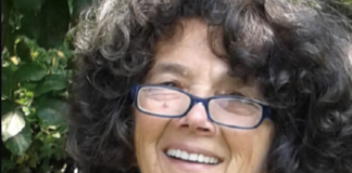 Vincolo Soprintendenza su Vicenza, Romana Caoduro cita Guerra: “la bellezza ci fa pensare alto”, chi comanda ascolti le sue urla di dolore Romana Caoduro (Civiltà del Verde Vicenza)