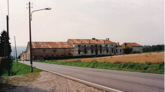 inot-264484