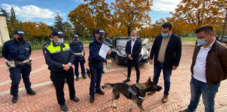 Operativa da oggi la prima unità cinofila della polizia locale con il cane Aria