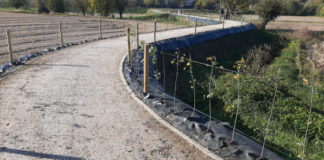 Ciclabili, messe a dimora 900 piante tra strada di Gogna e Parco Retrone