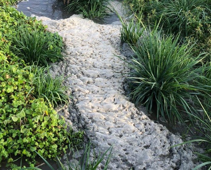 Sversamento di liquami in roggia a Schiavon