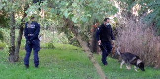 Villa Tacchi, il cane antidroga Aria contribuisce a un arresto per detenzione di cocaina