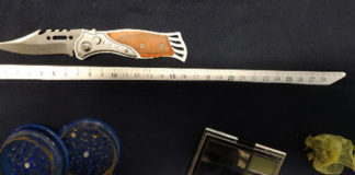 Giardino Salvi, intervento antidroga con il cane Aria che recupera marijuana