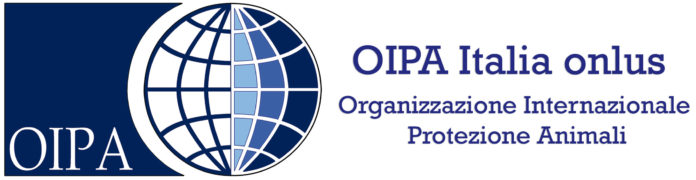 Oipa