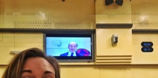 Covid, minacce querele a giornalisti: Guarda (EV), Ostanel (VCV) e Lorenzoni (GM): “Zaia difenda libertà d’informazione” Cristina Guarda, consigliera Regionale Europa Verde