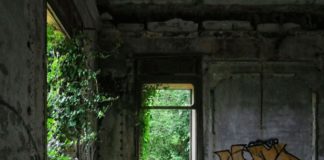 La Vicenza degli orrori: Colonia Bedin Aldighieri, un gioiello deturpato dal solito rudere Il rudere di Colonia Bedin Aldighieri