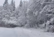 Allerta meteo Veneto: scatta lo stato di attenzione per nevicate fino a quote collinari Precipitazioni nevose; veve sul Grappa maltempo in Veneto Allerta meteo neve