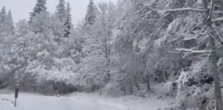 Meteo Veneto: nelle prossime ore sono previste precipitazioni nevose nei fondovalle prealpini fino a quote collinari e in pianura Precipitazioni nevose; veve sul Grappa maltempo in Veneto