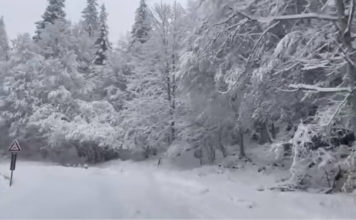 Allerta meteo Veneto: scatta lo stato di attenzione per nevicate fino a quote collinari Precipitazioni nevose; veve sul Grappa maltempo in Veneto Allerta meteo neve