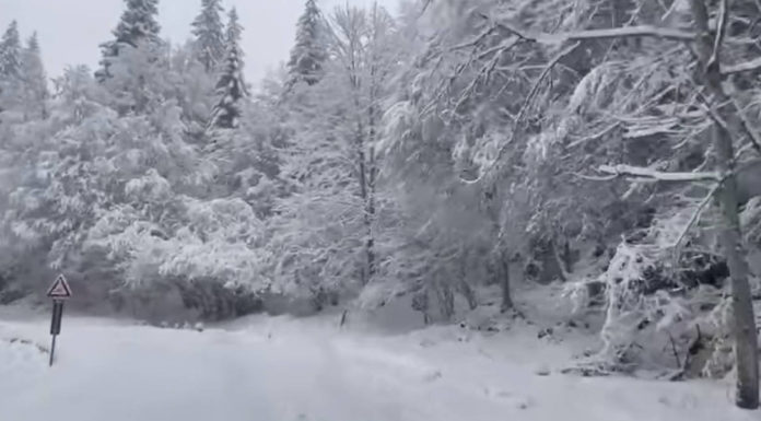 Allerta meteo Veneto: scatta lo stato di attenzione per nevicate fino a quote collinari Precipitazioni nevose; veve sul Grappa maltempo in Veneto Allerta meteo neve