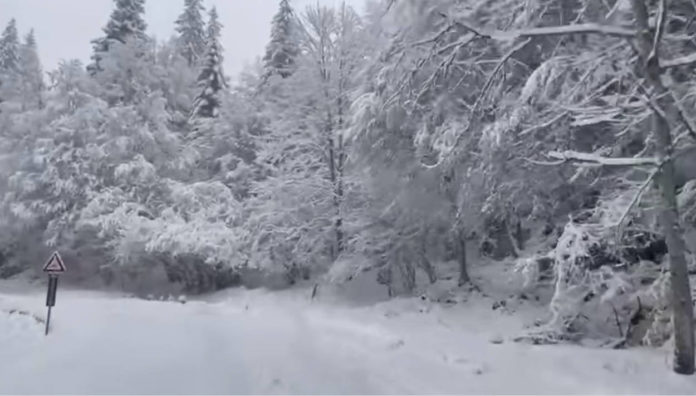 Precipitazioni nevose; veve sul Grappa maltempo in Veneto