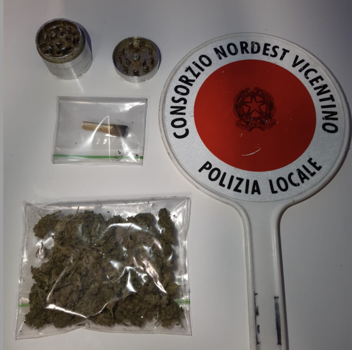 Marijuana sequestrata da Polizia locale nord est vicentino