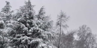 Neve, alle 3 avviata la salatura preventiva. In corso anche la pulizia delle strade