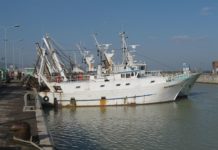 Politica comune della pesca, FLAI CGIL chiede all’Europa una revisione strutturale politica comune della pesca