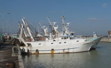 Politica comune della pesca, FLAI CGIL chiede all’Europa una revisione strutturale politica comune della pesca