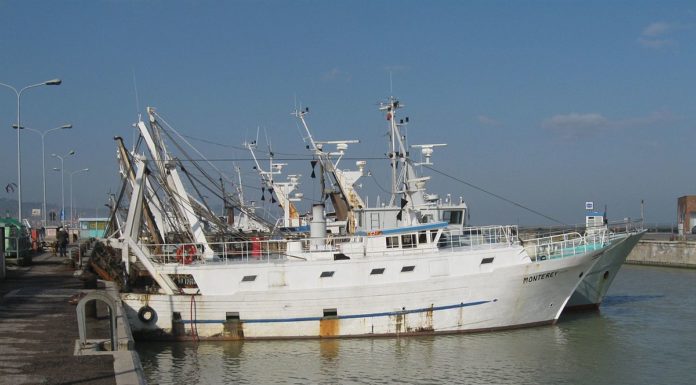 Politica comune della pesca, FLAI CGIL chiede all’Europa una revisione strutturale politica comune della pesca