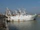 Politica comune della pesca, FLAI CGIL chiede all’Europa una revisione strutturale politica comune della pesca