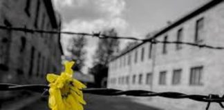 Giorno della Memoria, Agorà. La Filosofia in Piazza: bisogna avere cura delle parole perché sono importanti Giorno della Memoria 2021