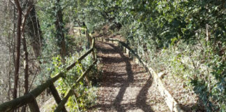 Infrastrutture, riaperti da domani i parchi di Villa Guiccioli e Villa Tacchi