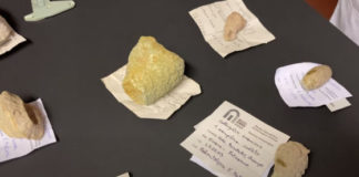 Conversazioni con il conservatore del Museo Naturalistico Archeologico