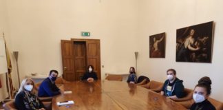 Covid e scuola: la Provincia incontra Rete Studenti Medi Vicenza: “pronti per riapertura in sicurezza” rete studenti medi incontro con Provincia Vicenza