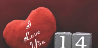 Festa degli innamorati, Agorà. La Filosofia in Piazza: l’alchimia dell’amore e ingredienti per contrasti e incomprensioni San Valentino: Festa degli innamorati