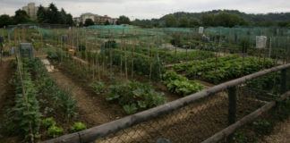 Entra nel vivo “Cities 2030”, il progetto europeo su cibo ed economia circolare