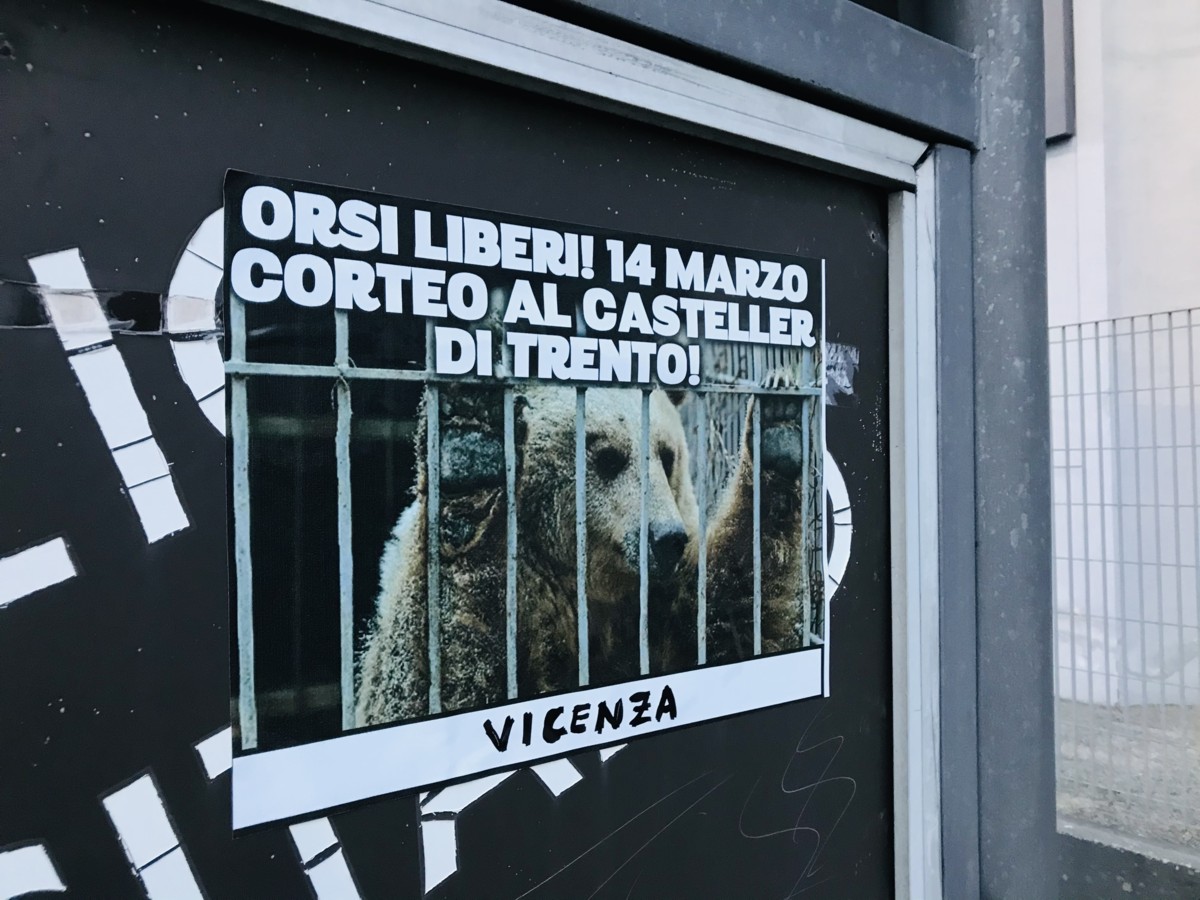 orsi liberi manifesto Vicenza