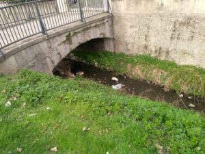 Spazzatura e rifiuti a pelo d'acqua a campo Marzo