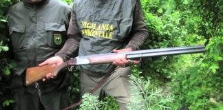 Operazione antibracconaggio a Bassano del Grappa: sequestrate armi e fauna particolarmente protetta e denunciato cacciatore antibracconaggio