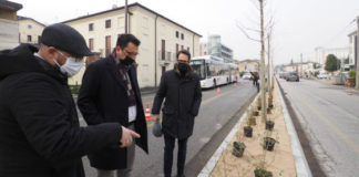 Viale San Lazzaro cambia volto grazie a 110 alberi e 2.500 arbusti